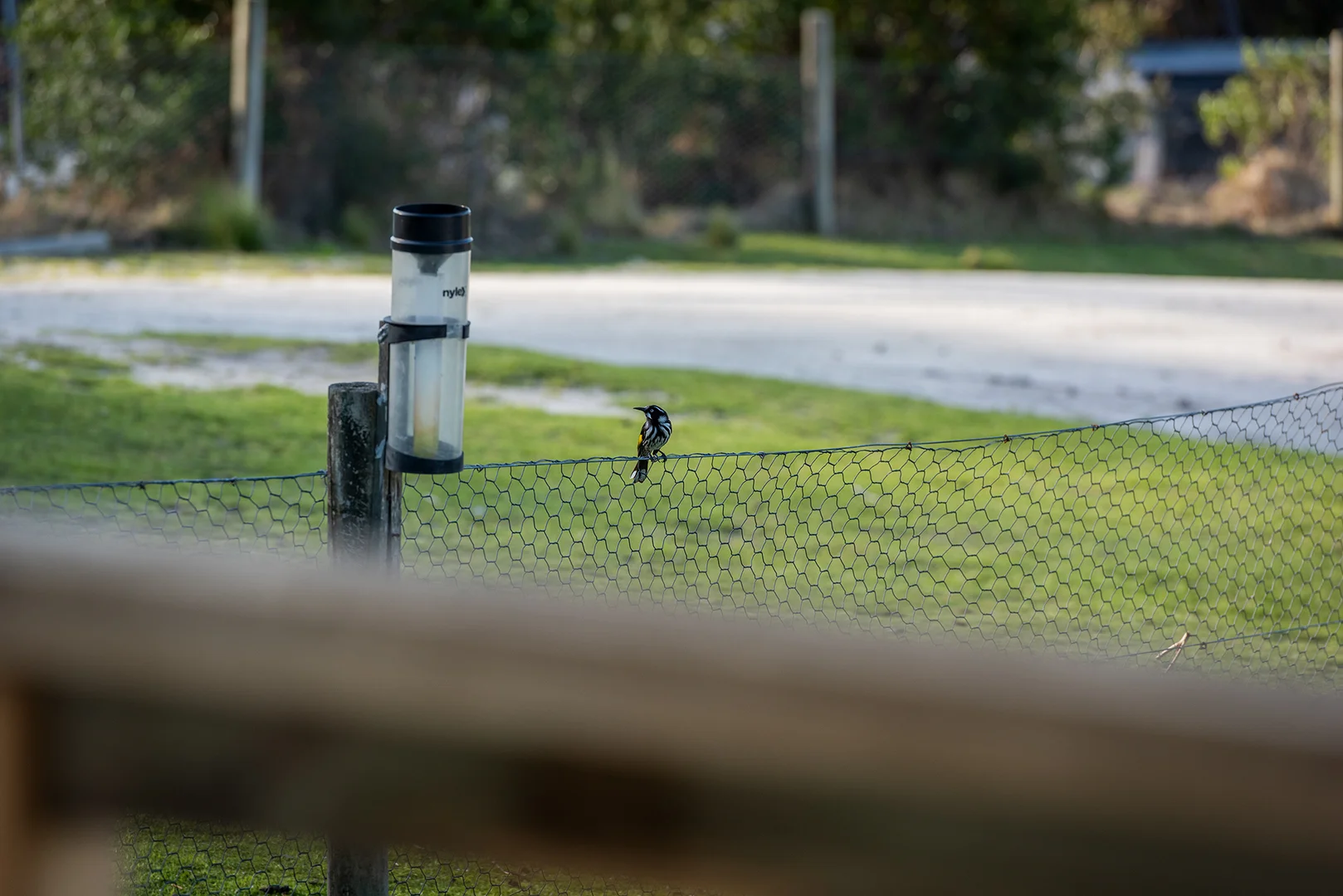 Additional image 14 of 525 Killiecrankie Road, Killiecrankie TAS 7255