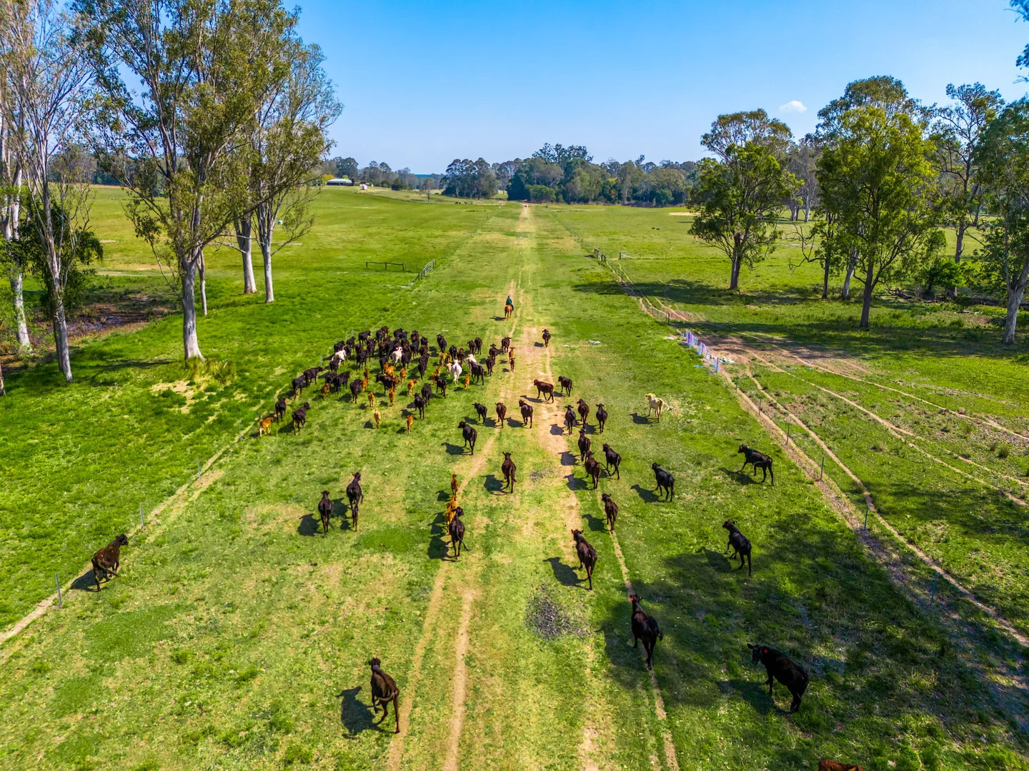 Additional image 26 of 160 Busbys Flat Road, Leeville NSW 2470