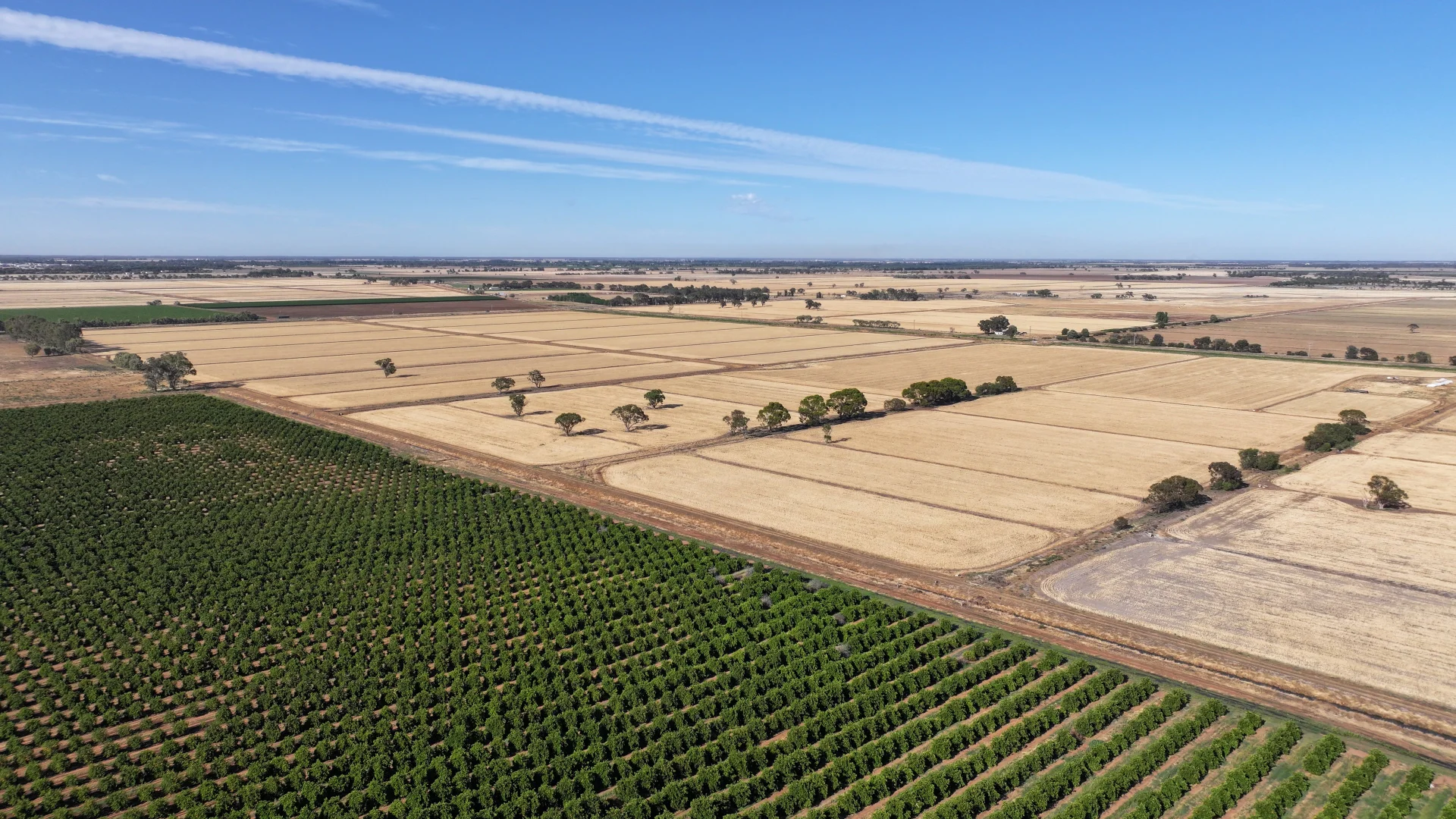 Additional image 7 of Farm 65 Stoney Point Road, Leeton NSW 2705