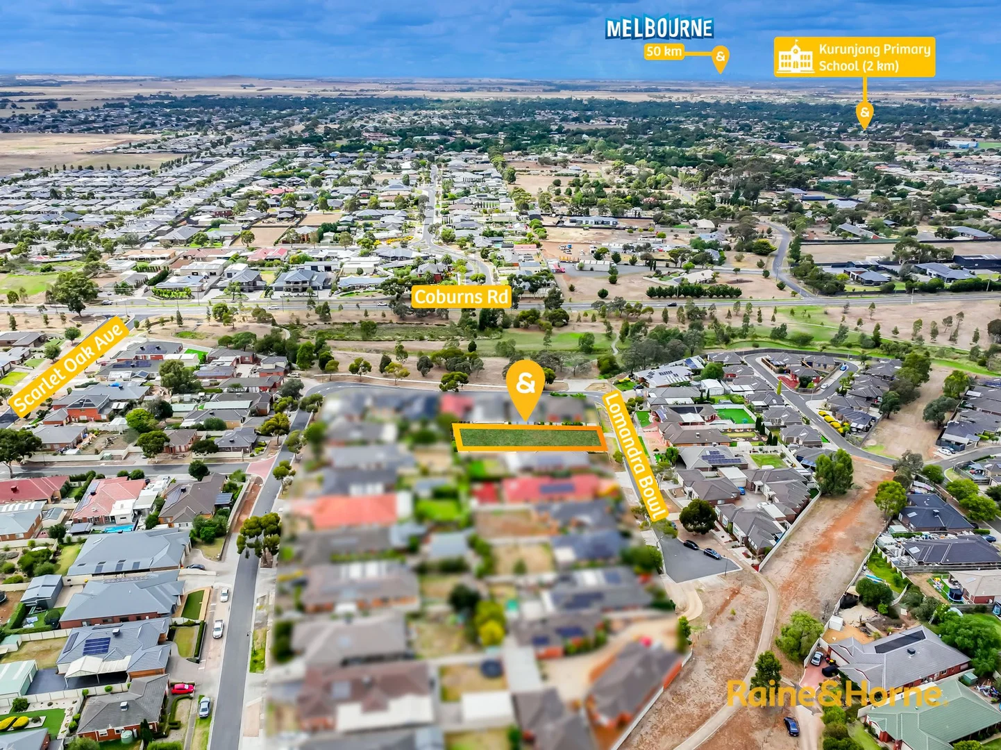 Additional image 5 of 42 Lomandra Bowl, Harkness VIC 3337