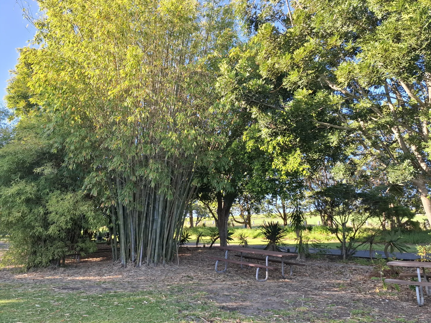 Additional image 11 of 16 Coolangatta Road, Coolangatta NSW 2535