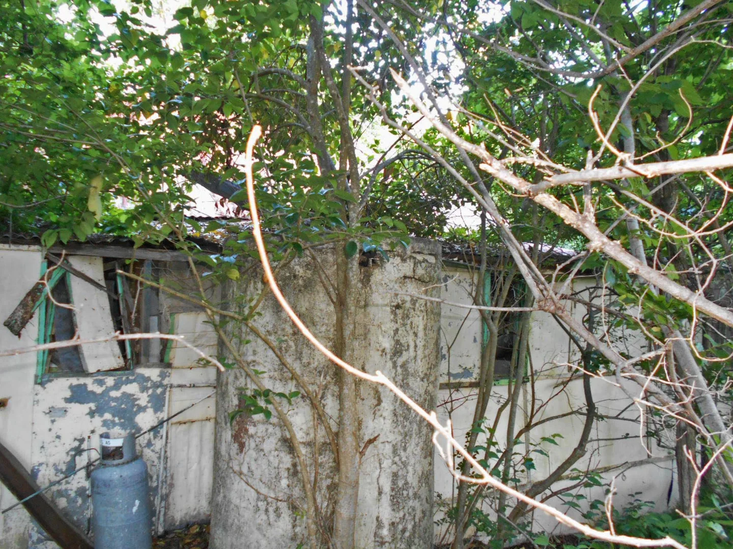 Additional image 11 of 30 Hanley & Moon Street, Gundagai NSW 2722