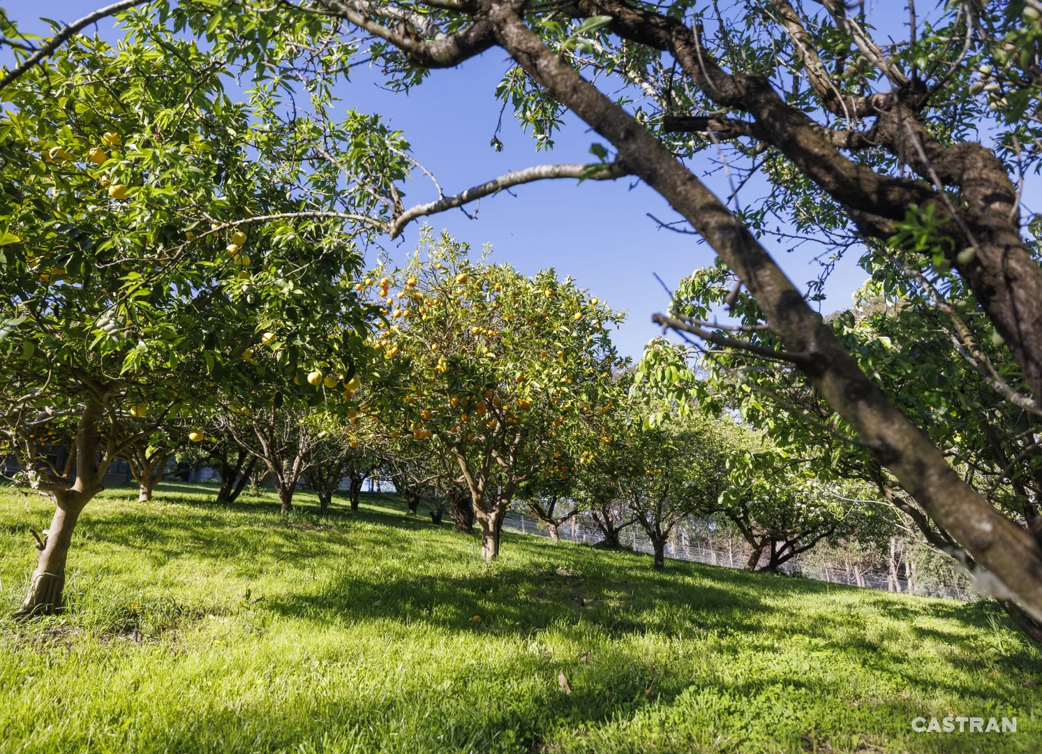 Additional image 29 of 125 Swansea Road, Montrose VIC 3765