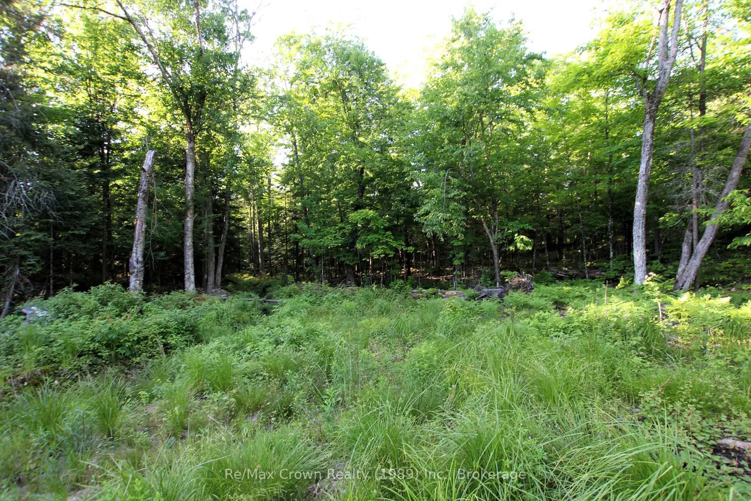 Additional image 13 of 453 Pilgers Road