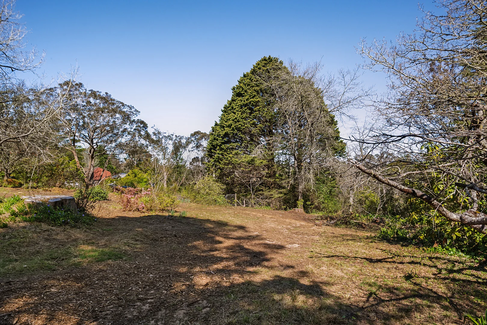 Additional image 7 of 1 Apanie Lane, Wentworth Falls NSW 2782