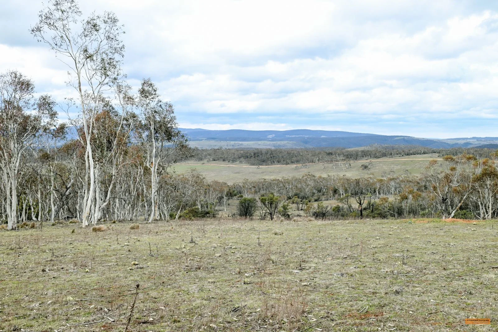 Additional image 22 of "Eagle Heights" 636 Caddigat Road, Dry Plain NSW 2630