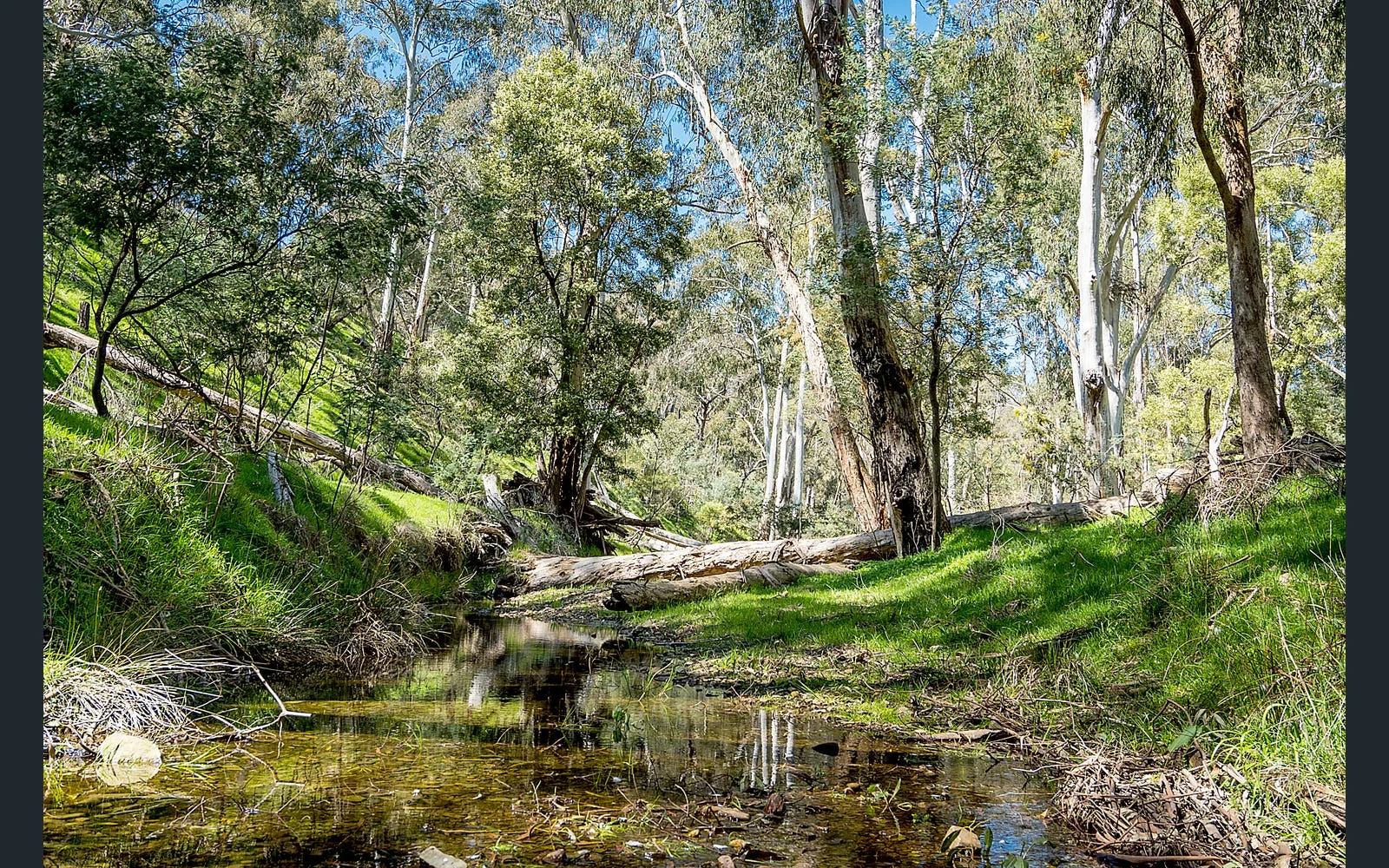 Additional image 7 of 21 Doyle Street, Reedy Creek VIC 3658