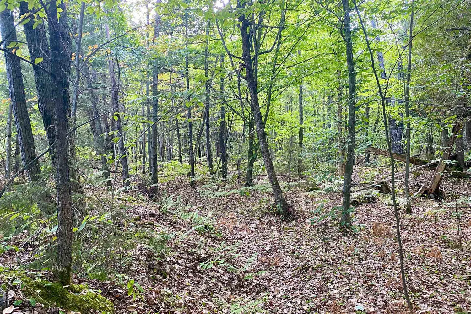Additional image 8 of 0 Clear Lake Road