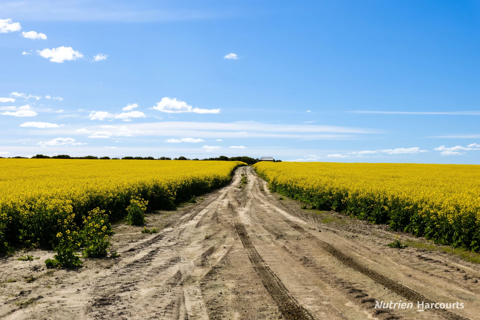 Additional image 10 of . Kendall Road, Scaddan WA 6447