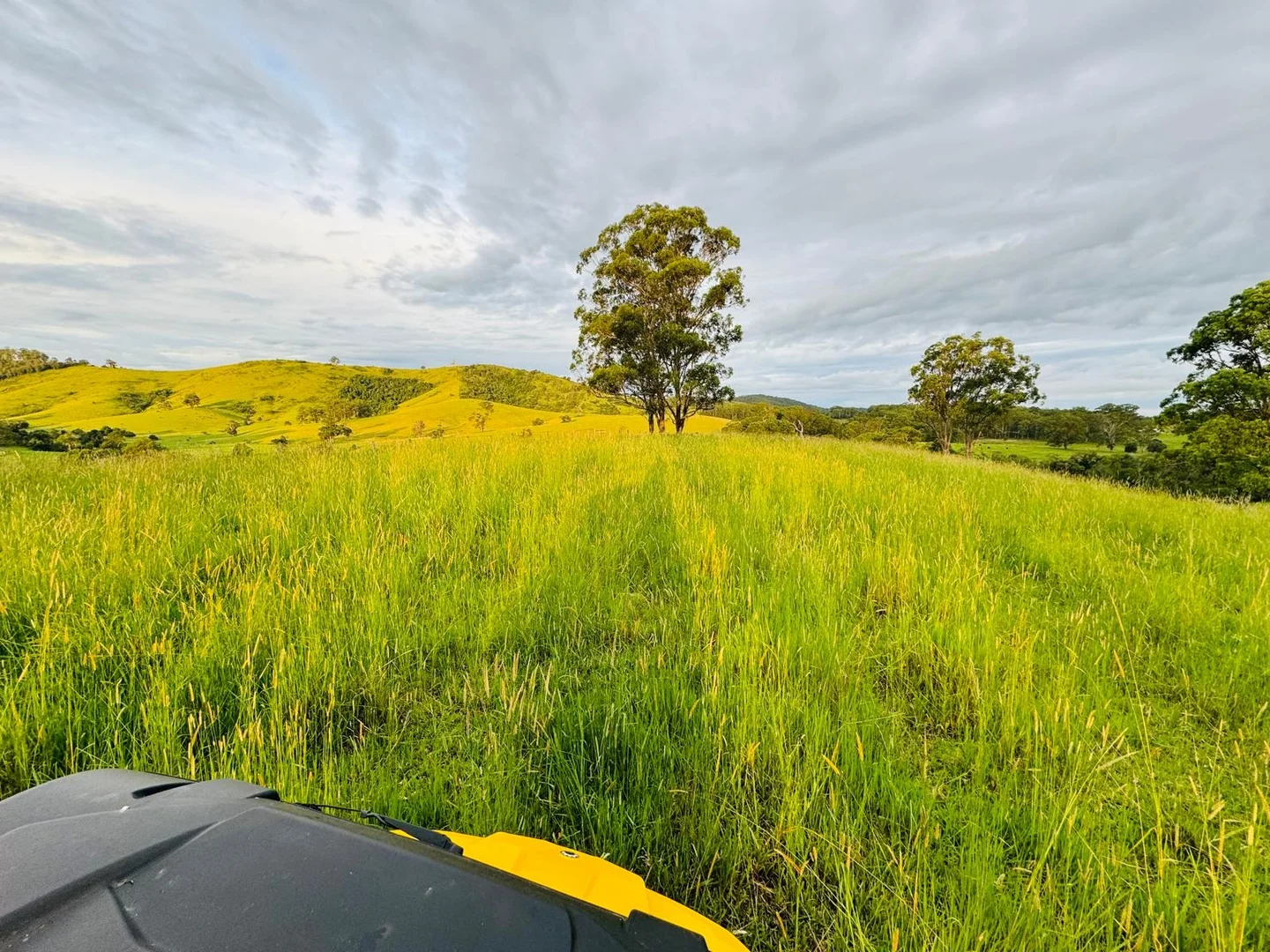 Additional image 23 of 148 Mimi Creek Road, Firefly NSW 2429
