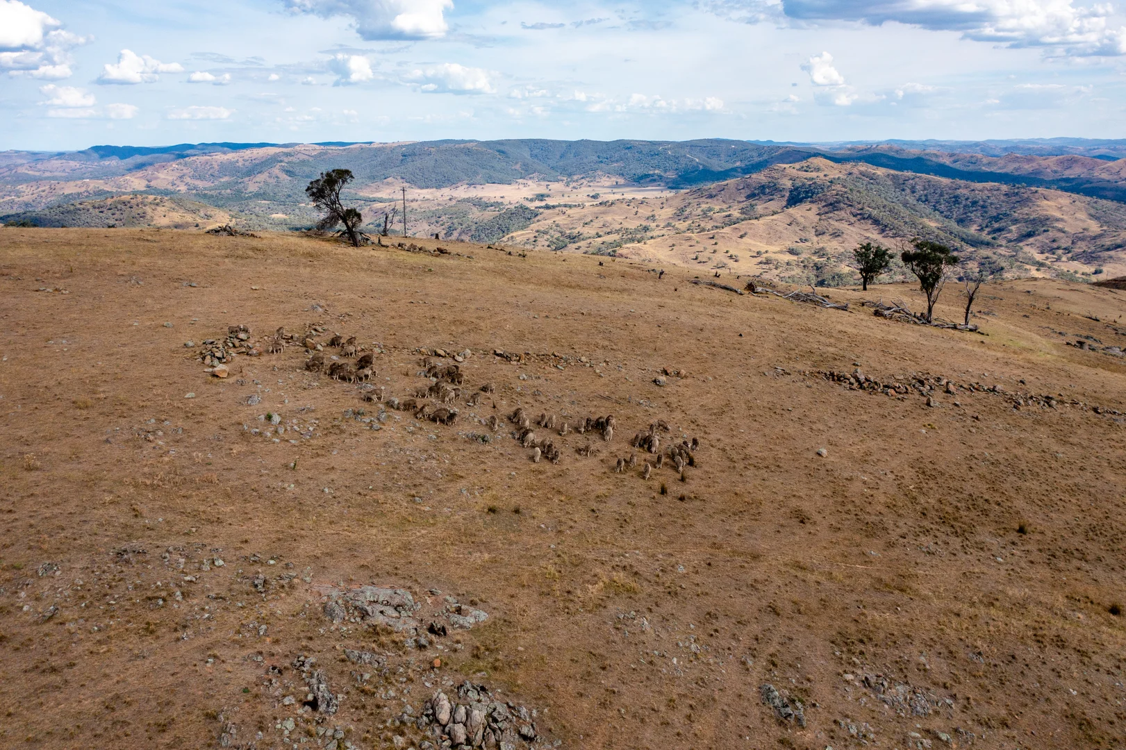 Additional image 10 of 245 Powels Hut Rd, Ullamalla NSW 2850