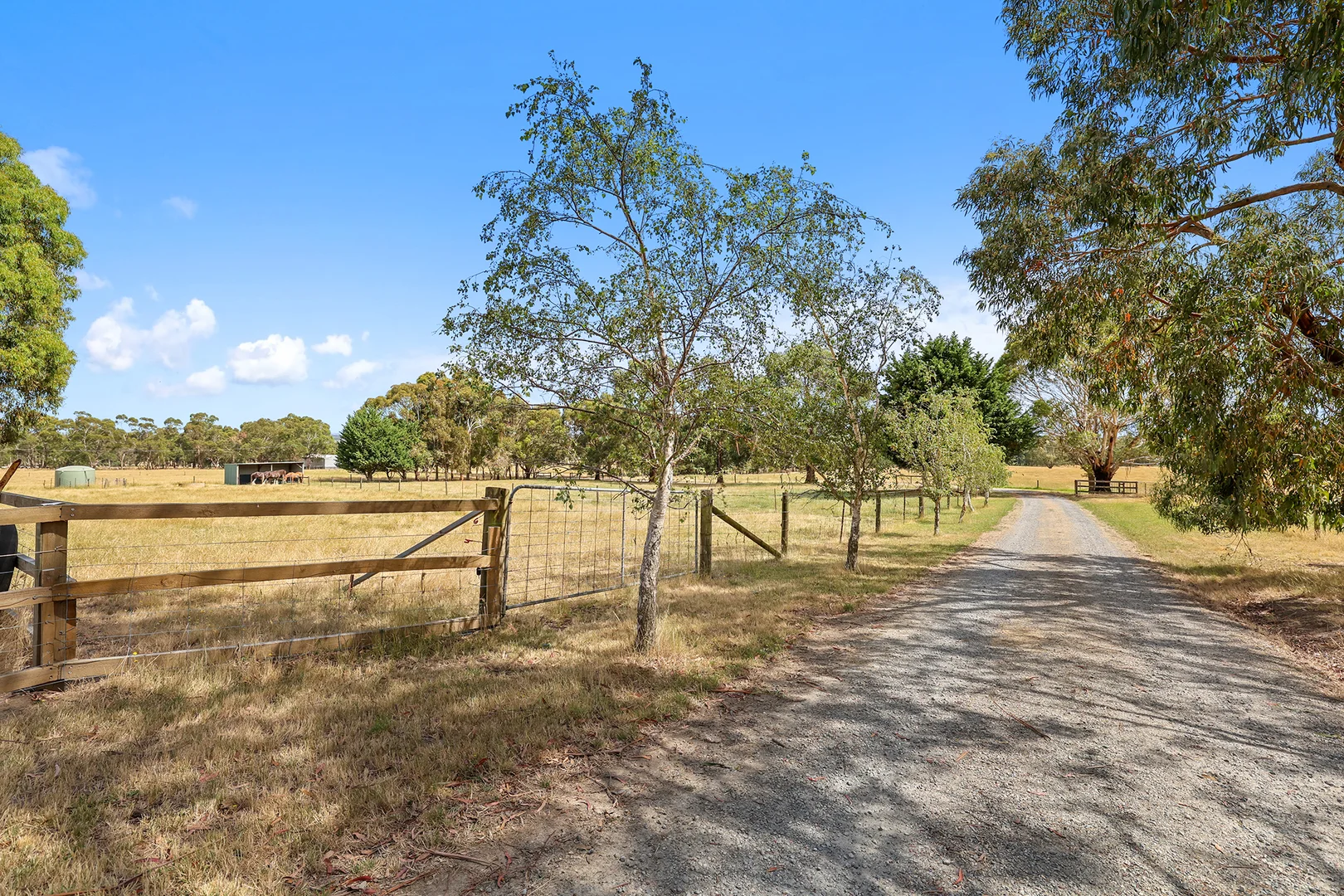 Additional image 21 of 31 Jagoe Road, Ripplebrook VIC 3818