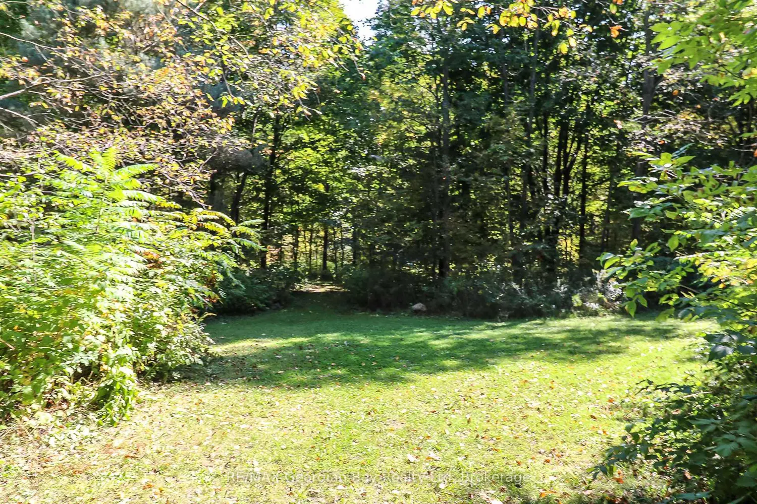 Additional image 13 of 326 Blueberry Marsh Road