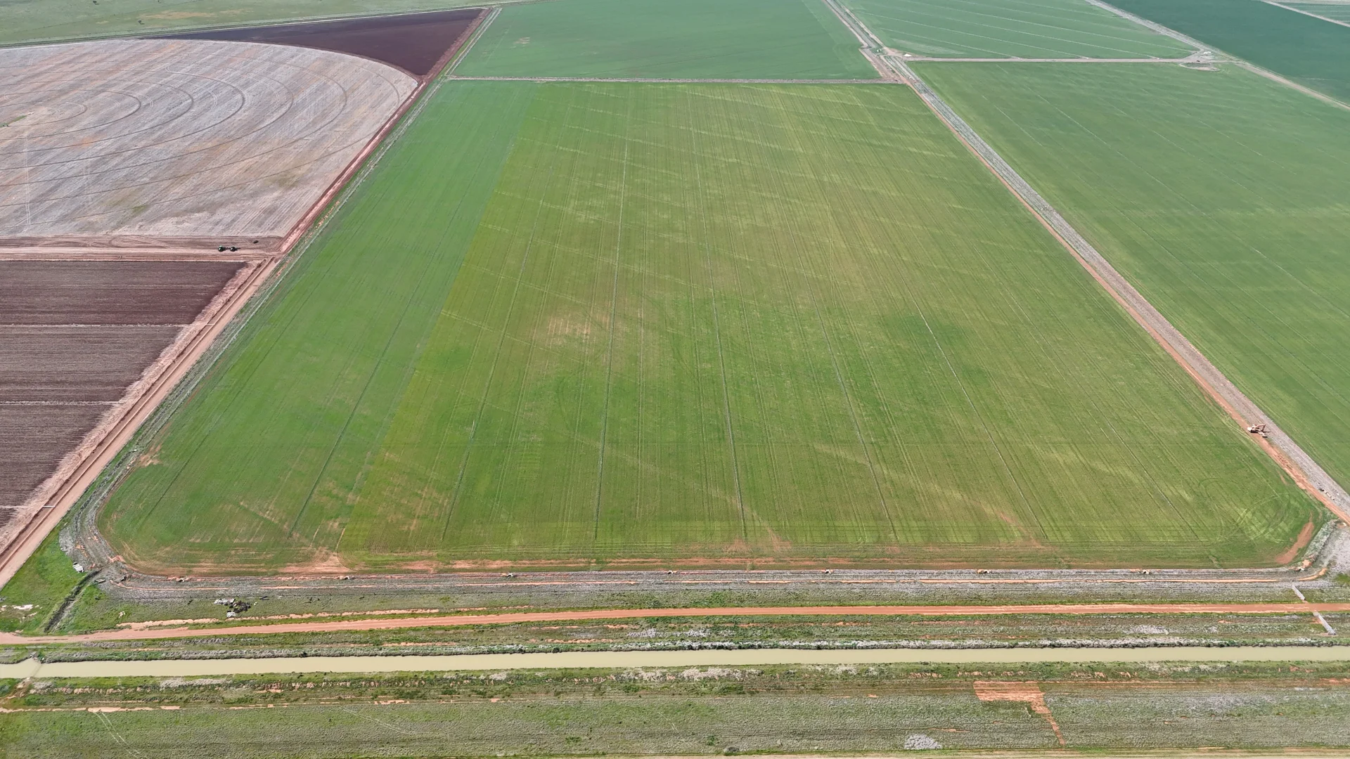 Additional image 3 of 69-70 Leonard Road, Coleambally NSW 2707