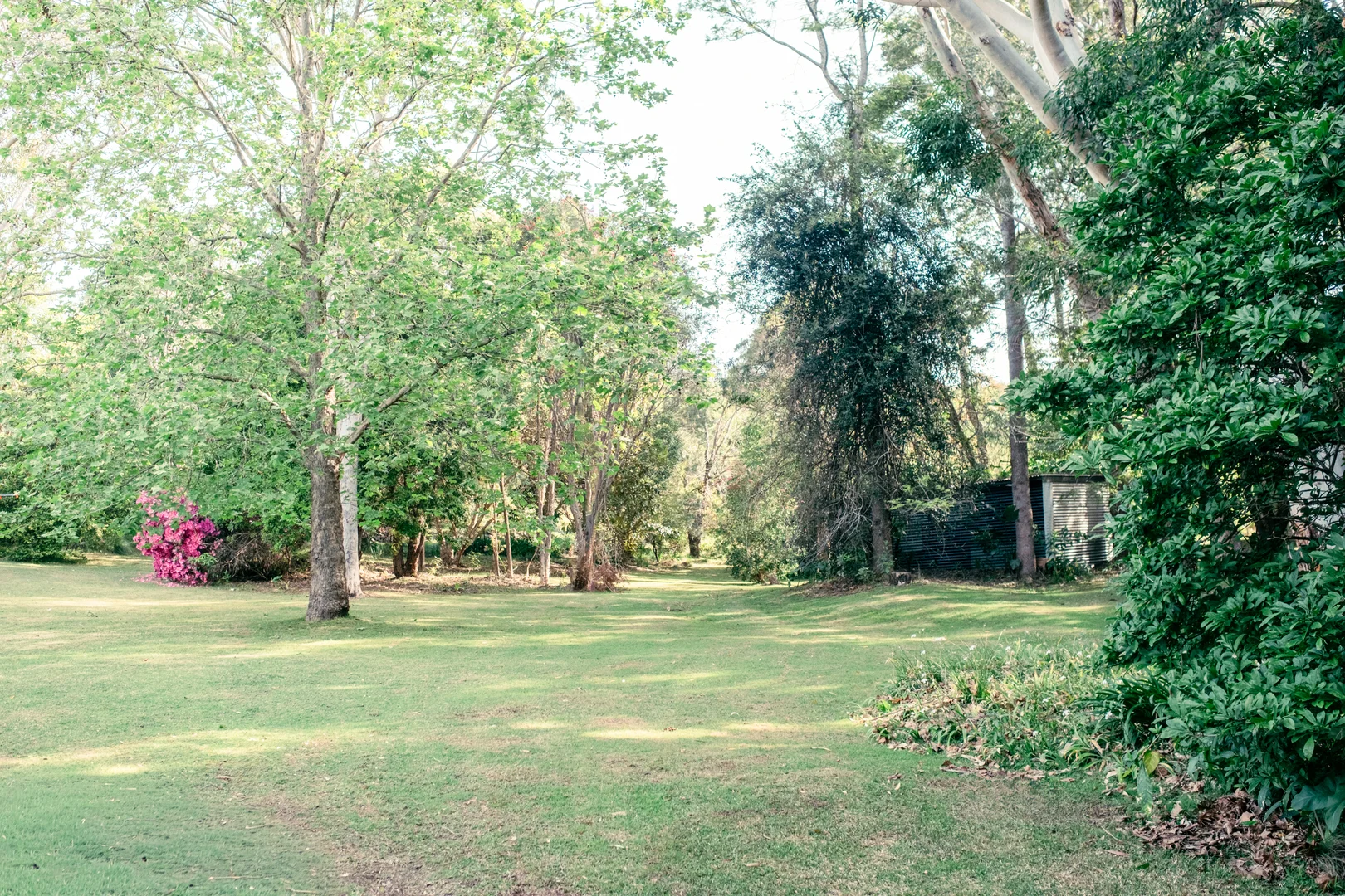 Additional image 35 of 11 Weemala Crescent, Bawley Point NSW 2539