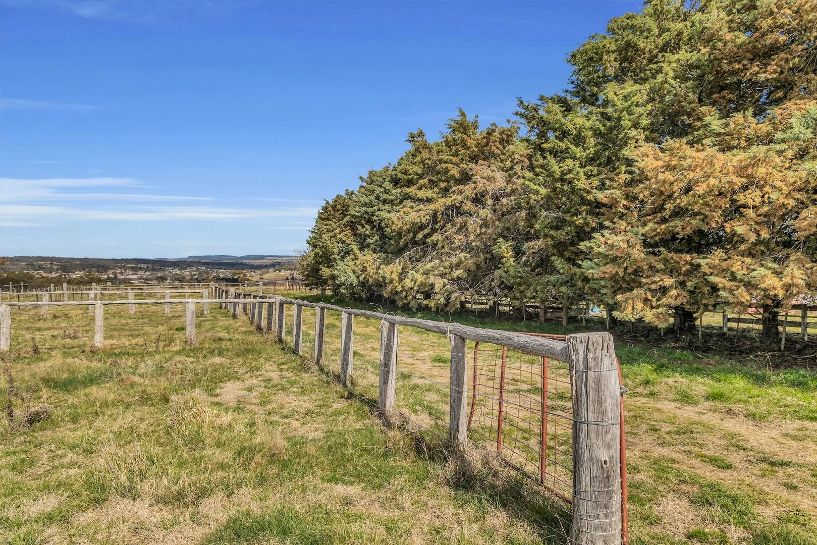 Additional image 23 of 376 Monaro Highway, Bombala NSW 2632