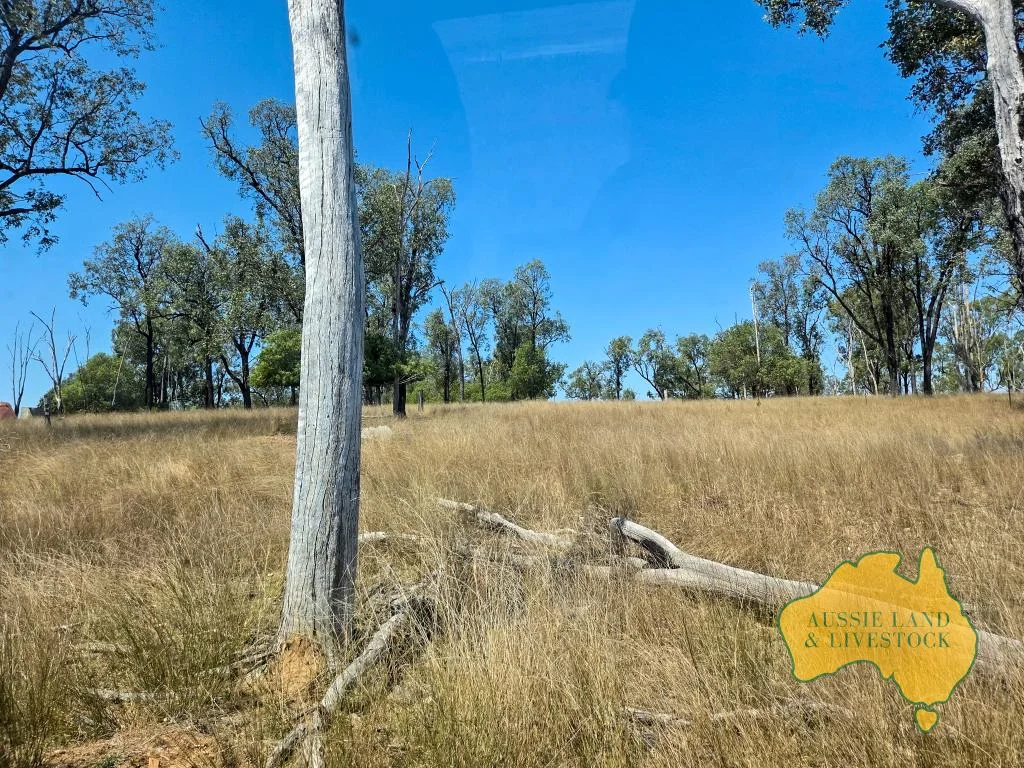 Additional image 34 of 110 BENHAMS ROAD, Mundubbera QLD 4626