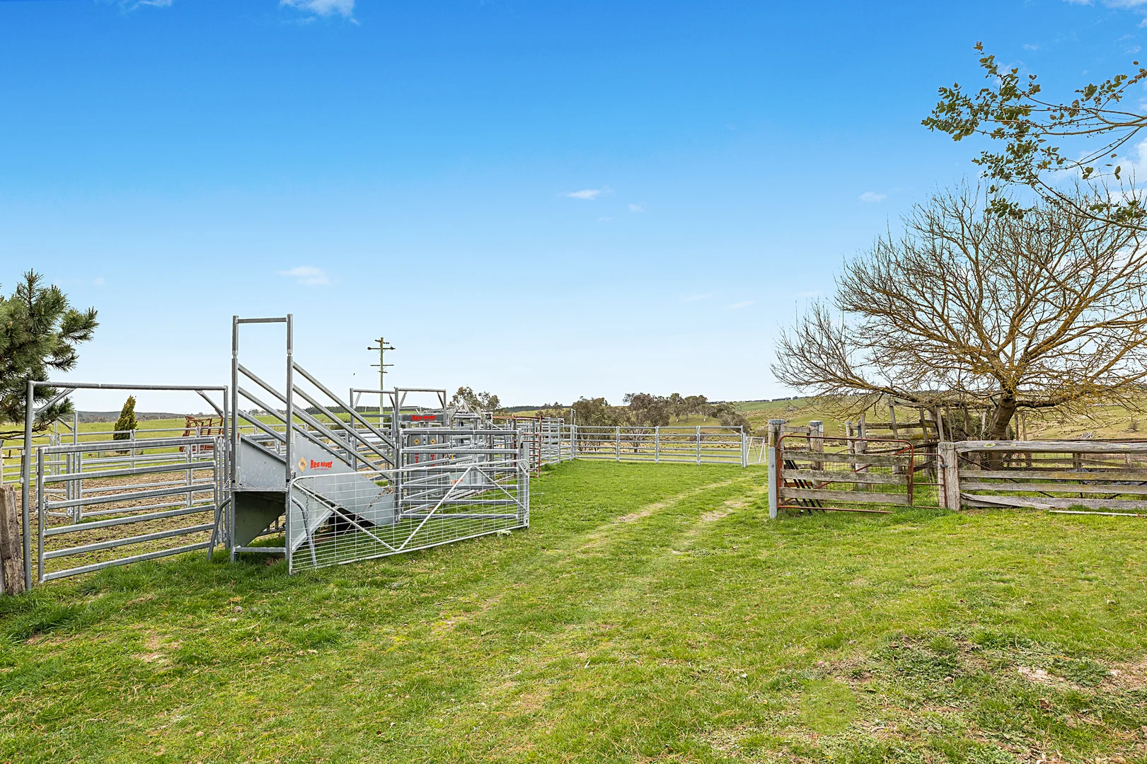 Additional image 32 of 171 Big Flat Road, Bombala NSW 2632