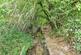 Additional image 20 of Chestnut Lane, Royston SG8