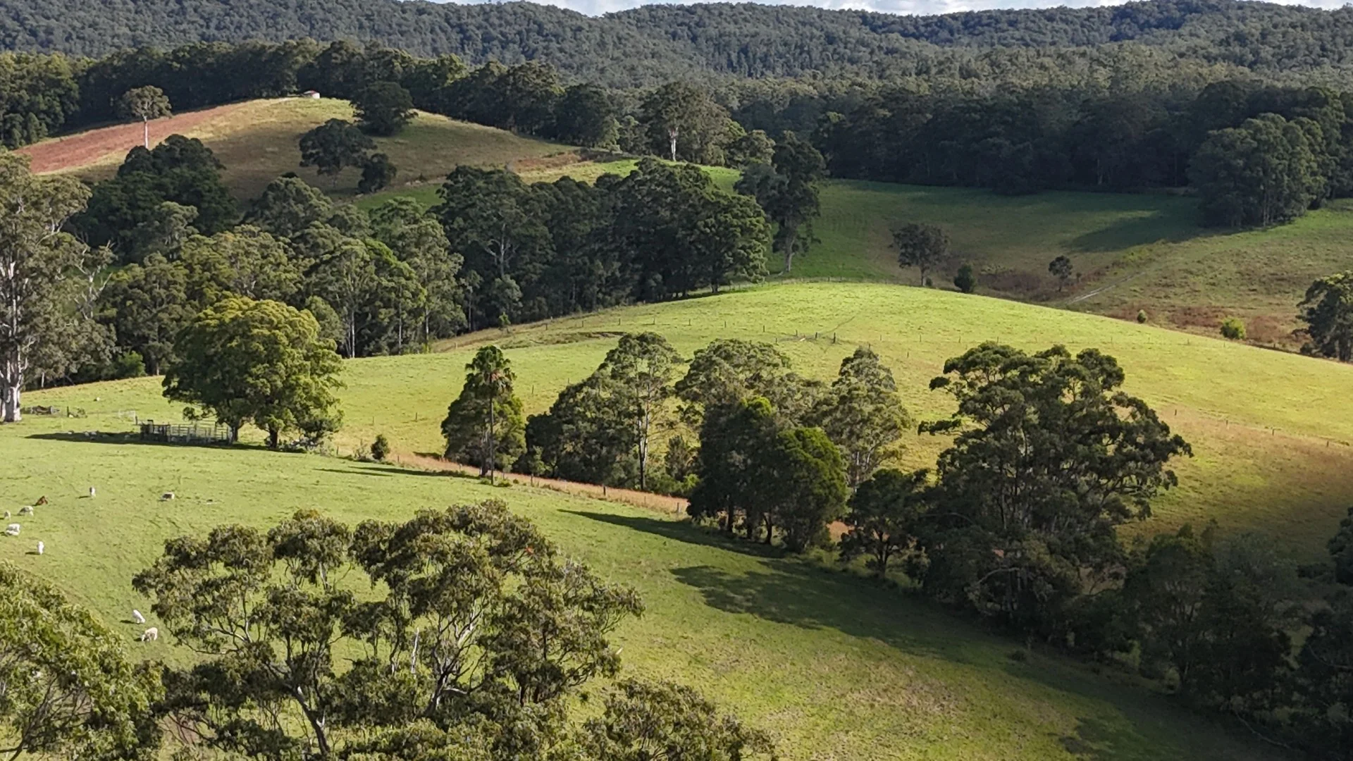 1433 Wootton Way, Wootton NSW 2423