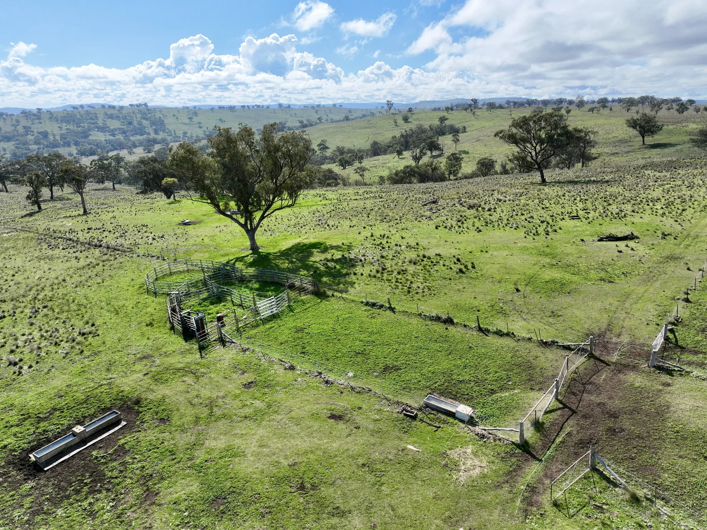 Additional image 27 of "Jemalong" 263 Collier Road, Coolah NSW 2843