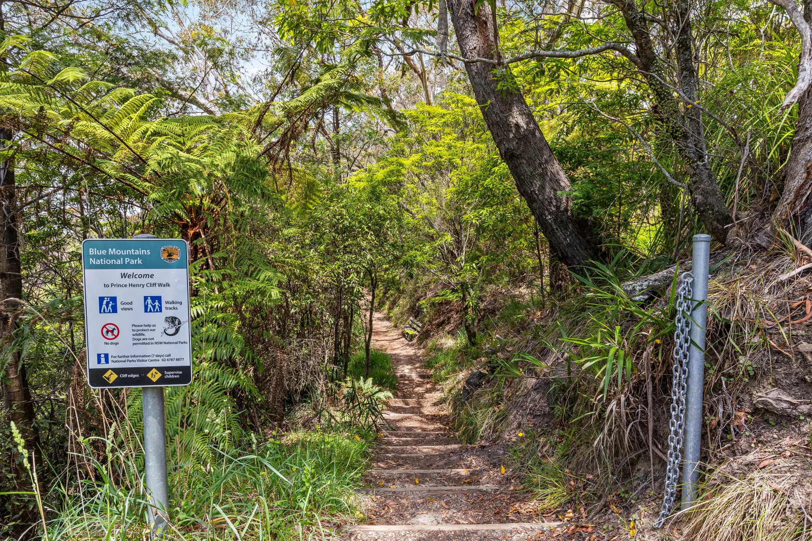 Additional image 18 of 10 Banksia Park Rd, Katoomba NSW 2780