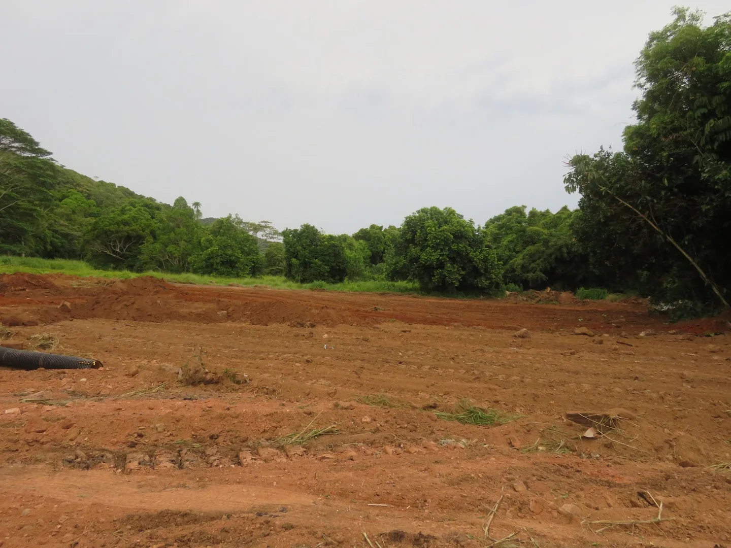 Additional image 4 of 1 Flying Fish Point Road, Innisfail Estate QLD 4860