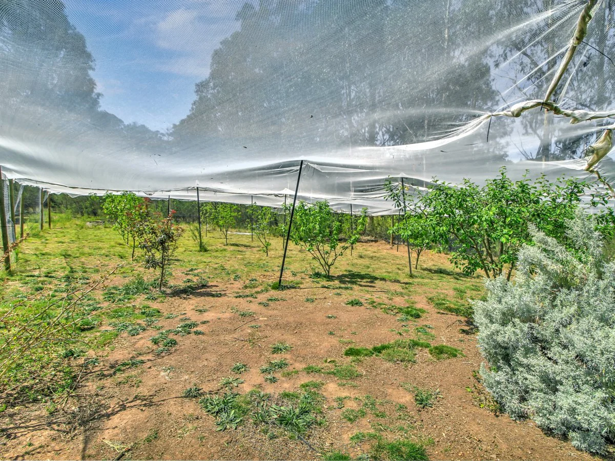 Additional image 11 of 24 Gardam Court, Bruthen VIC 3885