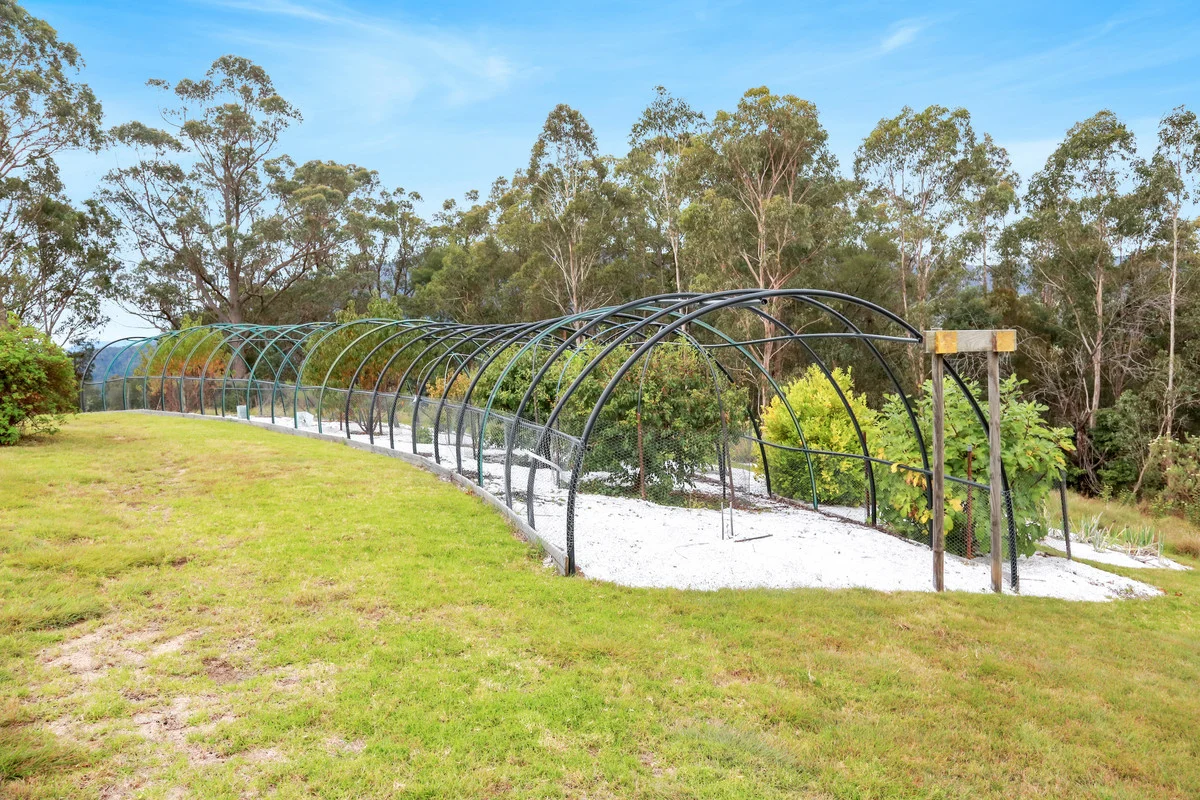 Additional image 17 of 198 Newpark Road, Brogo NSW 2550