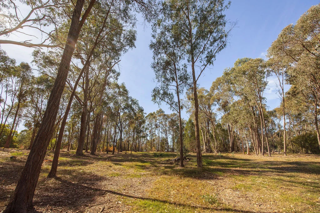 Additional image 29 of 7 Silver Creek Avenue, Yackandandah VIC 3749