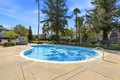 Additional image 39 of 320 Pine Wood Ln, Los Gatos, CA, 95032