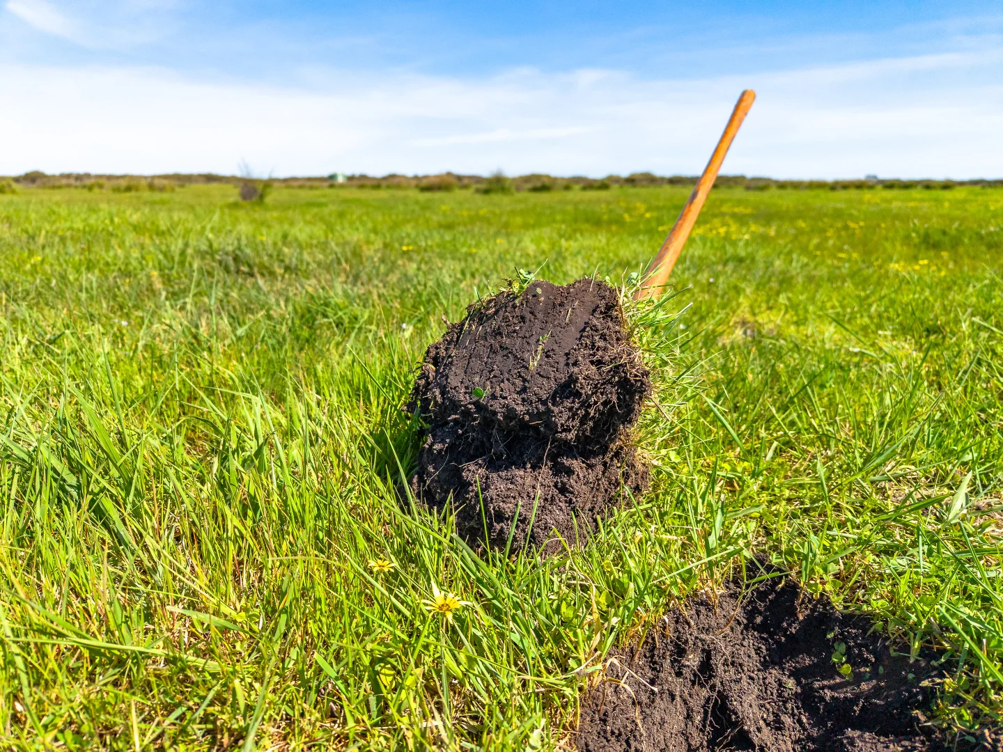 Additional image 19 of 641 Minnie Crowe Road, Avenue Range SA 5273