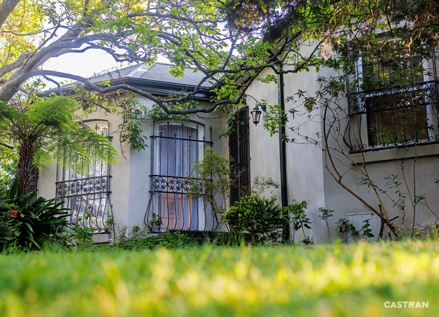 Additional image 6 of 125 Swansea Road, Montrose VIC 3765