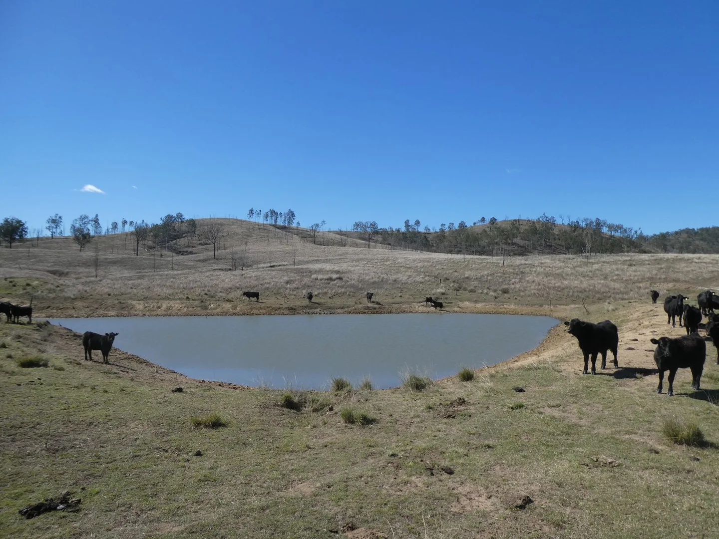 Additional image 7 of 59 Mungy Road, Mungy QLD 4671