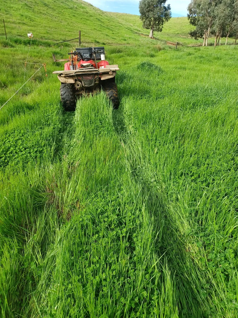 Additional image 6 of 3924 Hume Highway, Tarcutta NSW 2652