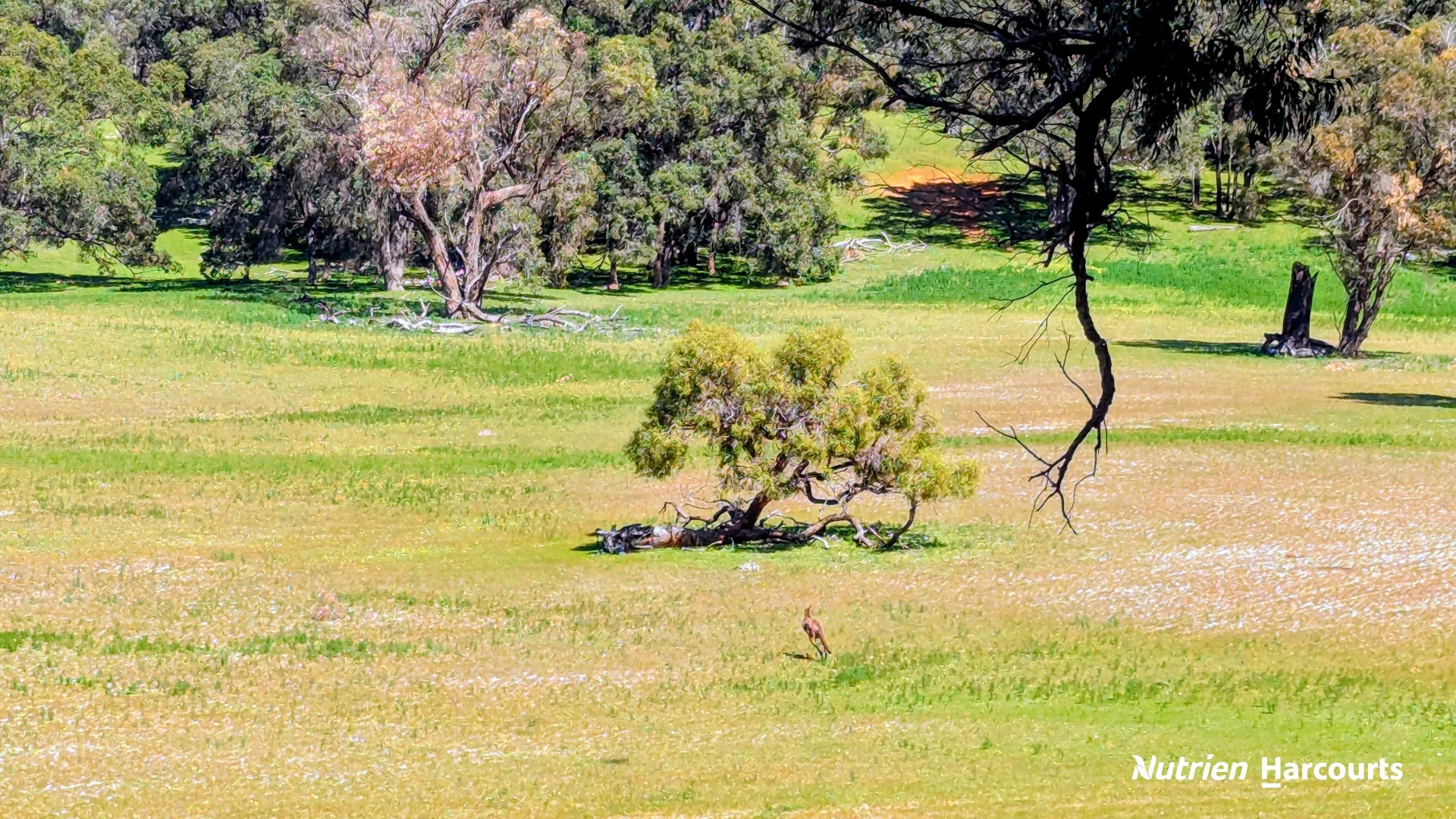 Additional image 13 of Lot 53 Cowalla Road, Cowalla WA 6503