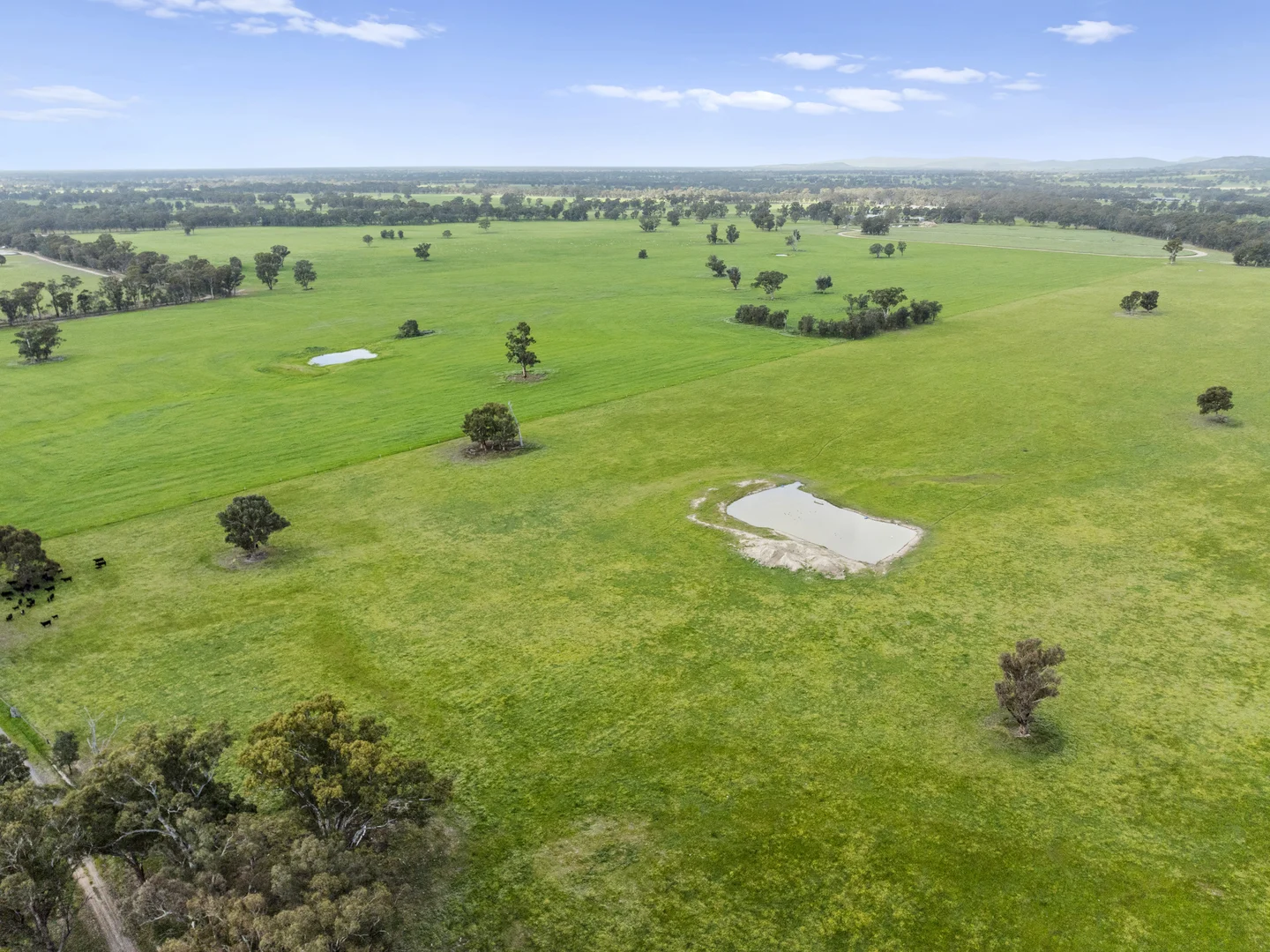 Additional image 29 of 197 Ryans Lane, Locksley VIC 3665