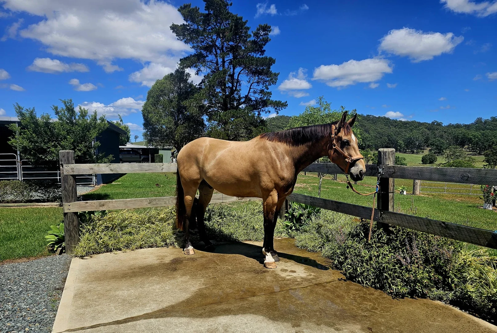 Additional image 18 of 148 Mimi Creek Road, Firefly NSW 2429