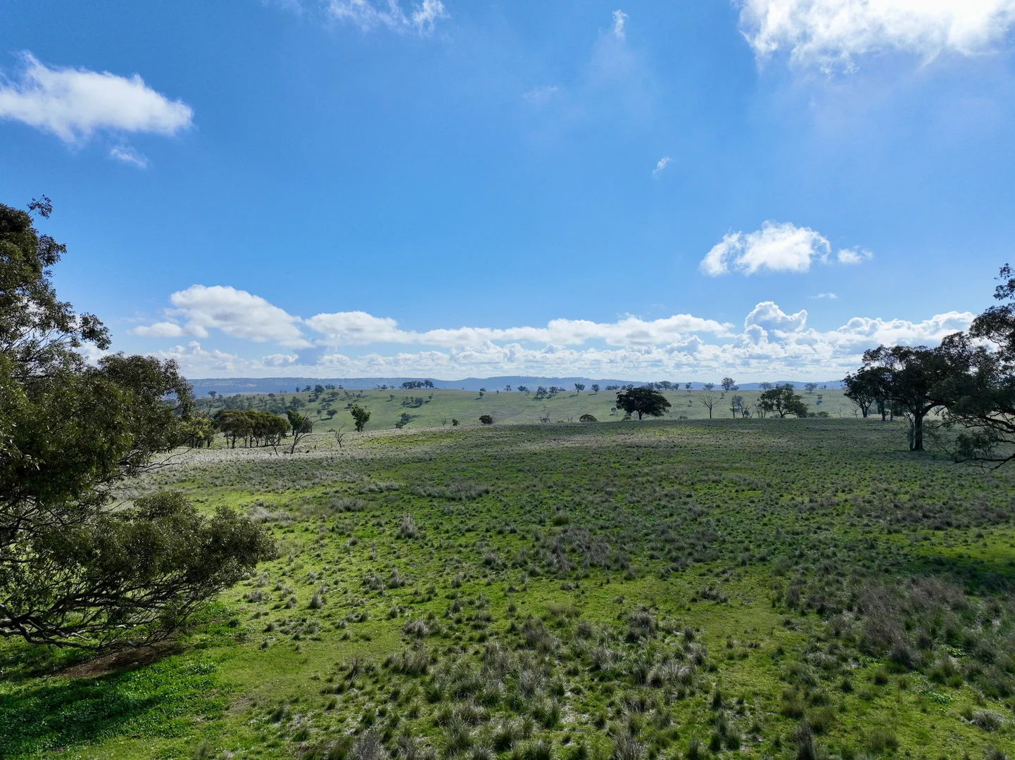 Additional image 28 of "Jemalong" 263 Collier Road, Coolah NSW 2843