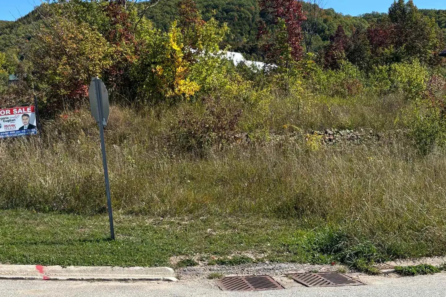 Additional image 8 of 125 Maryward Crescent