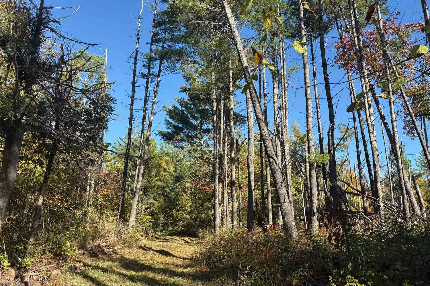 Additional image 15 of N/A Twin Sister Lakes Road