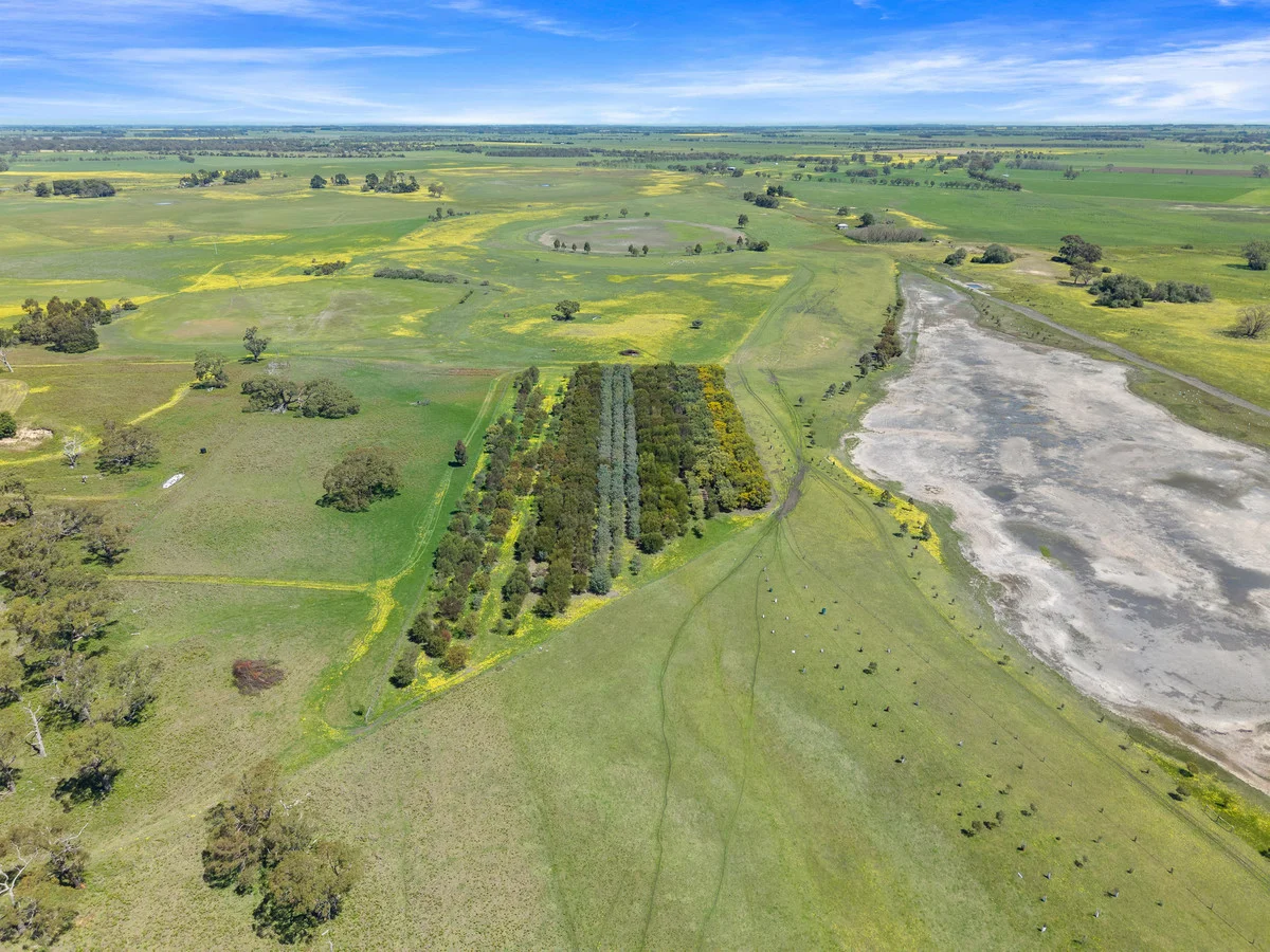 Additional image 17 of 857 Bundol Road, Victoria Valley VIC 3294