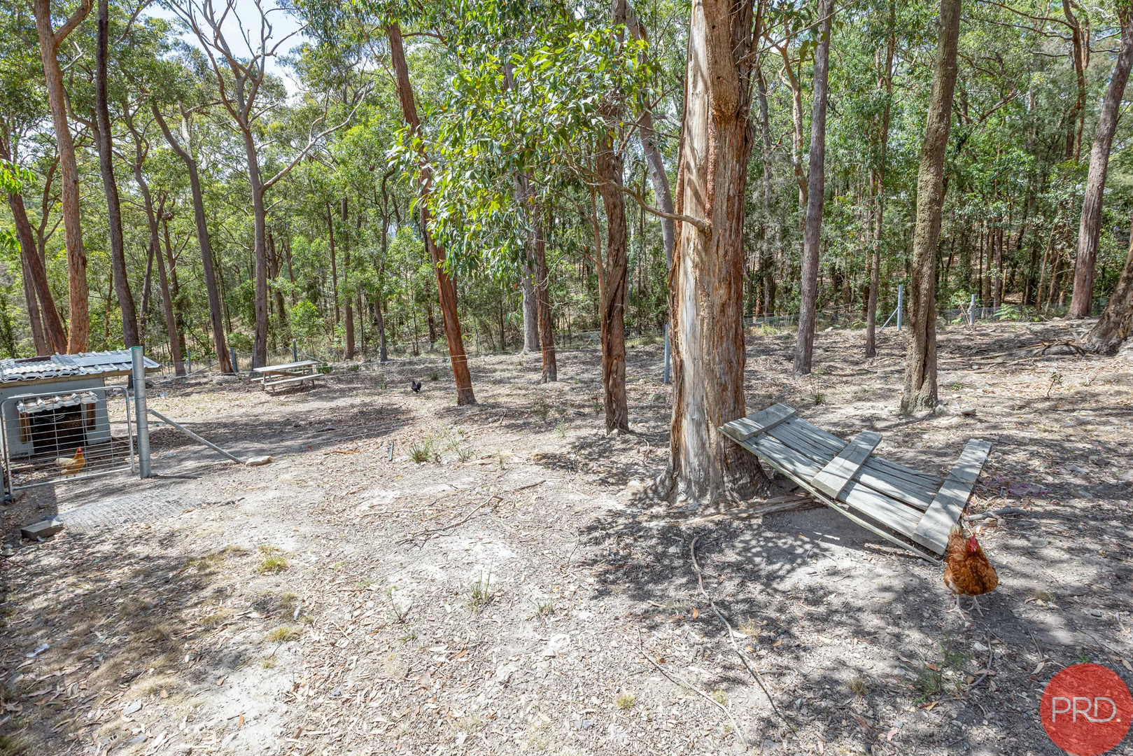 Additional image 31 of 5 Uffington Road, Duns Creek NSW 2321