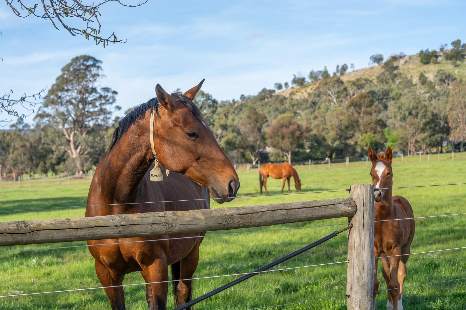 Additional image 13 of 304 Sheans Creek Road, Sheans Creek VIC 3666