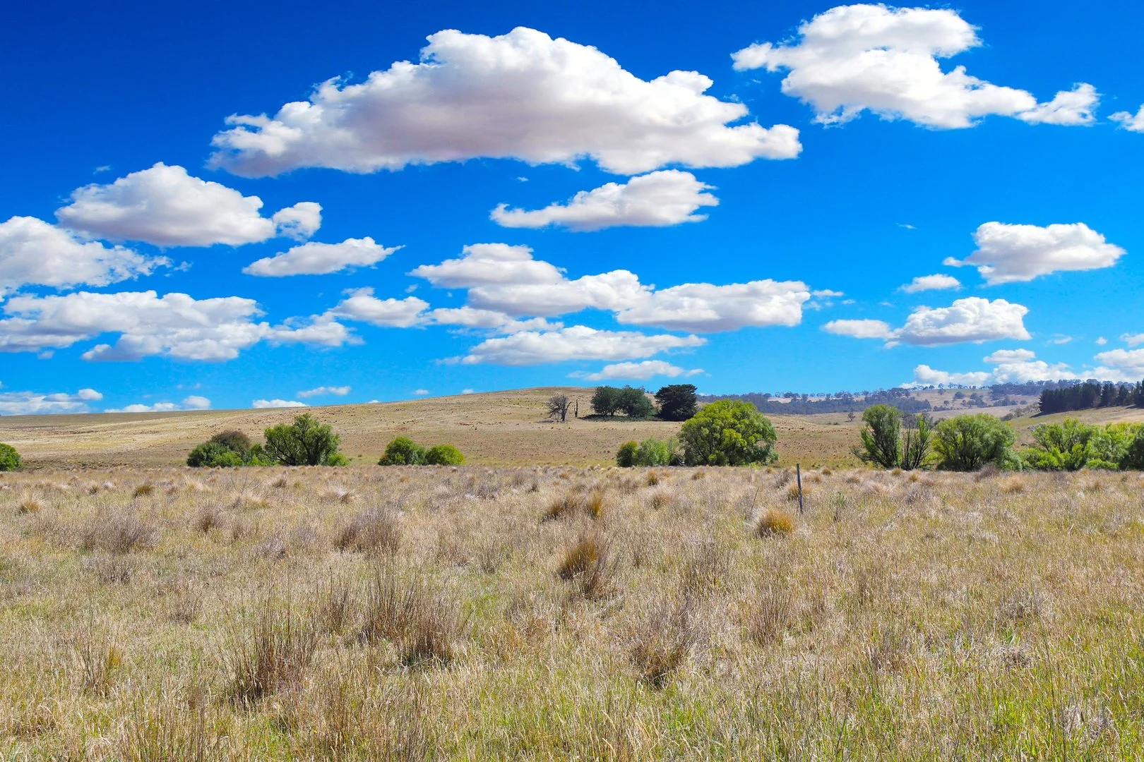 Additional image 23 of 77 Aerodrome Road, Bombala NSW 2632