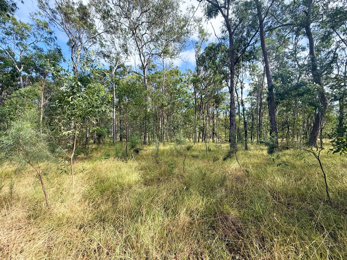 Additional image 22 of Lot 10/931 Nearum Road, Nearum QLD 4671