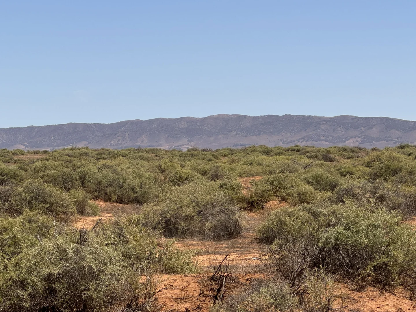Additional image 3 of Minburra/Lynch Road, Minburra SA 5431