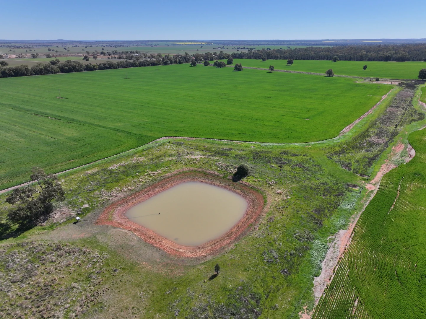 Additional image 25 of 2666 Henry Parkes Way, Gunningbland NSW 2876