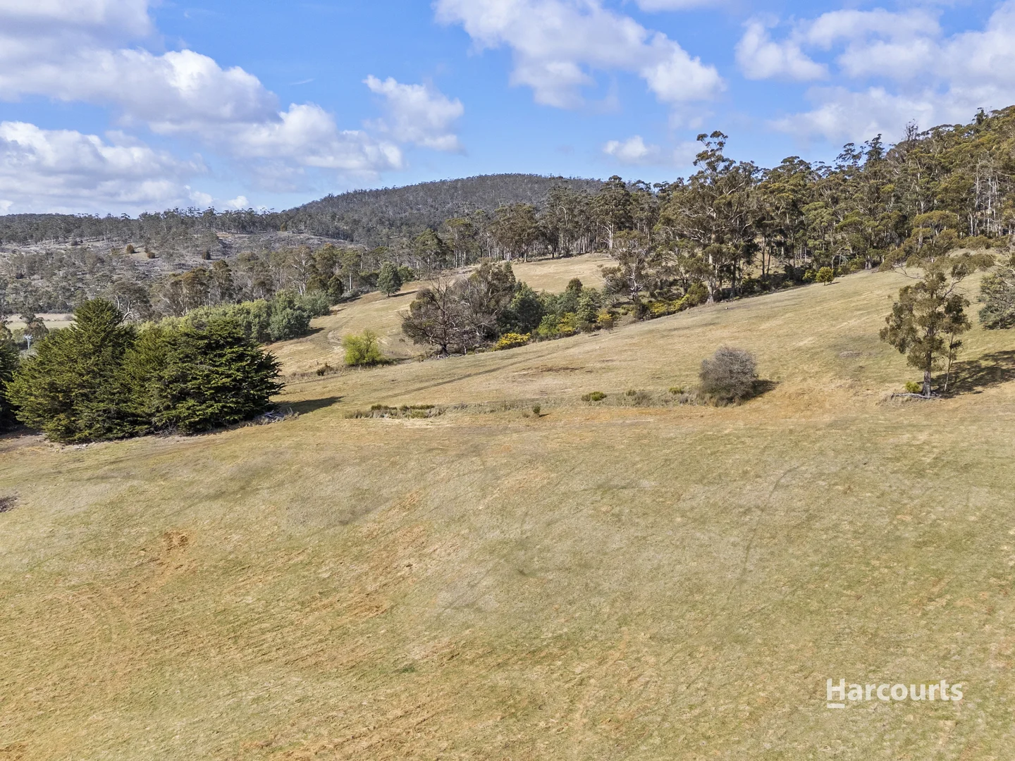 Additional image 17 of Lot 1/4115 Tasman Highway, Runnymede TAS 7190