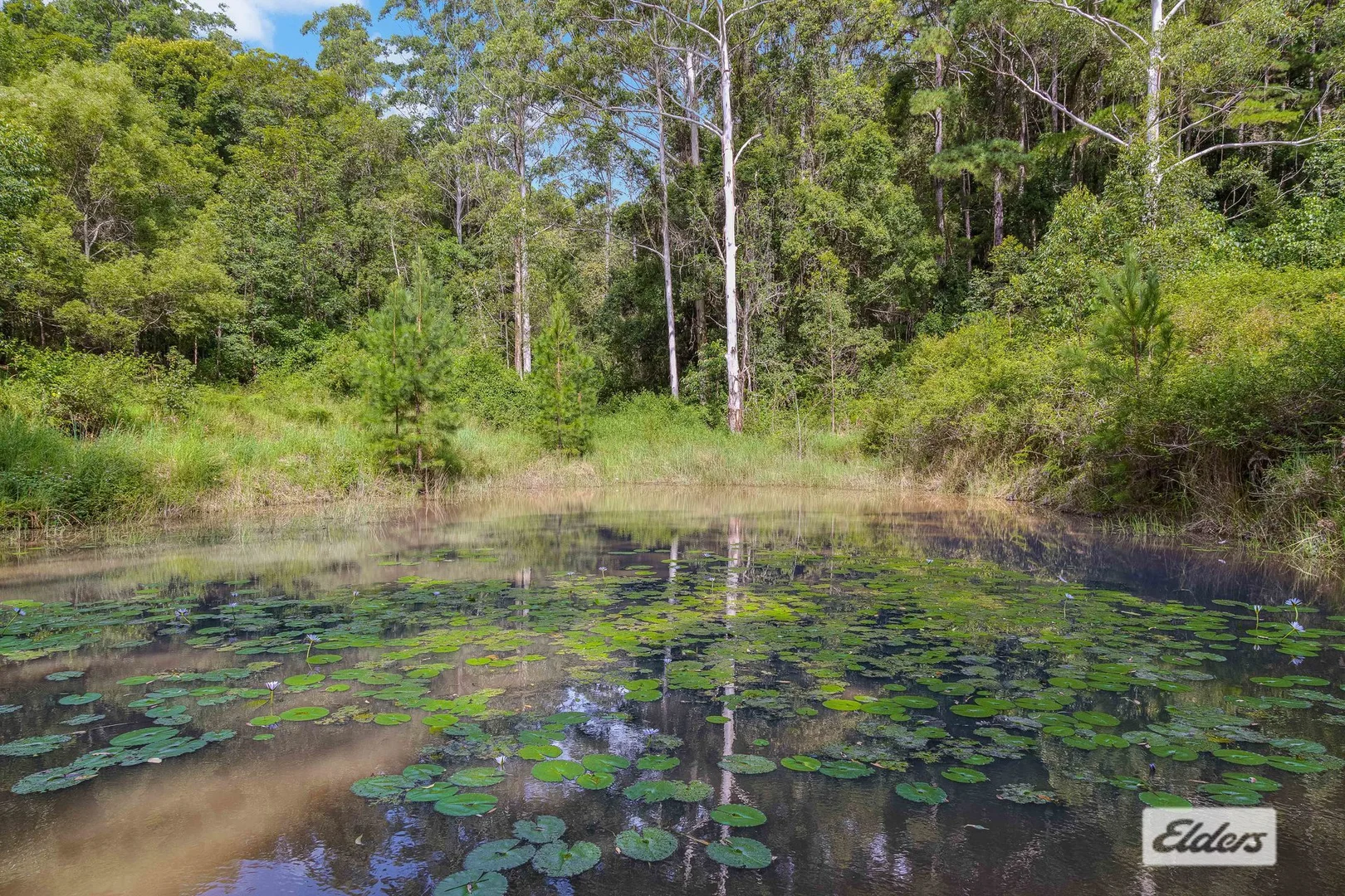 Additional image 32 of 1449 Tyalgum Road, Tyalgum NSW 2484